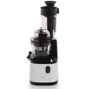 Изображение Соковыжималка Leran SJ 208 BT (шнековая)